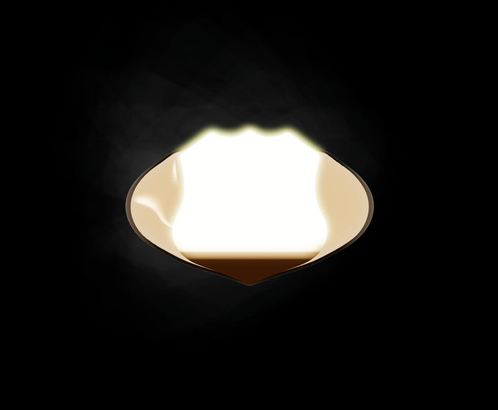 Signet Ring 10mm in 9ct Yellow Gold